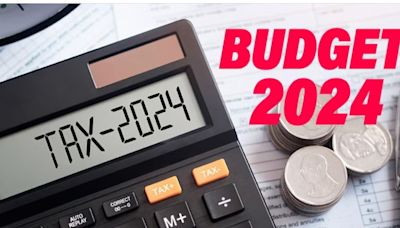 Union Budget 2024: Why middle class needs the much needed tax breaks. Here's what experts have to say