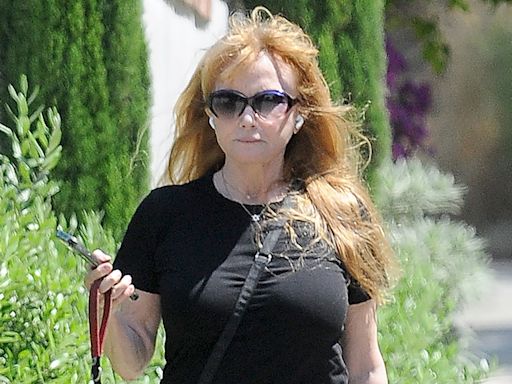 Risky Business star Rebecca De Mornay, 64, goes makeup free during rare outing