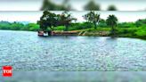 NGT orders action on Kanchi lake pollution | Chennai News - Times of India