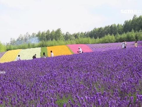 遊日本恐花更多錢！北海道擬徵收「住宿稅」 最快上路時間曝光