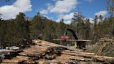 Forest restoration work to begin northeast of Flagstaff