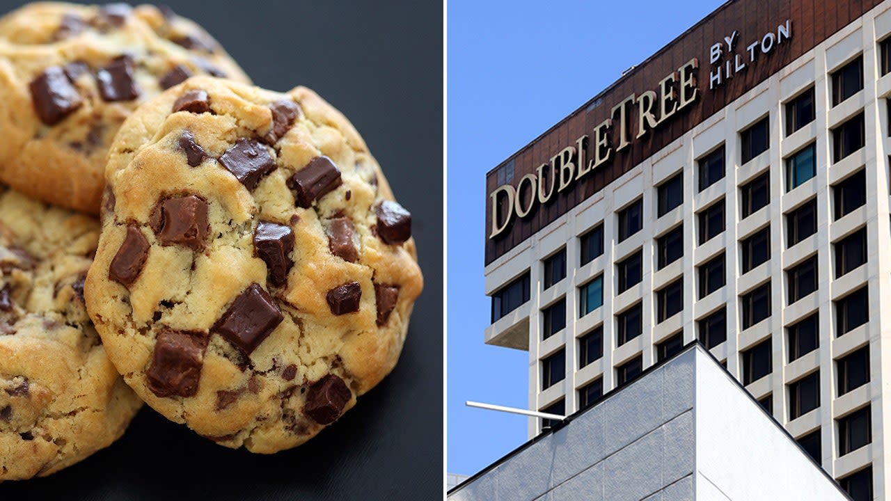 Free on National Chocolate Chip Cookie Day: Here's how to get your own delicious treat