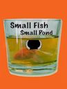 Small Fish Small Pond