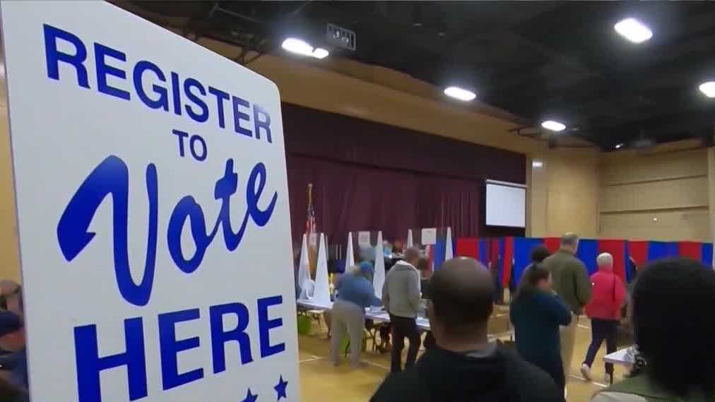 DNC committee votes to count New Hampshire's delegates at national convention