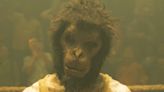 Monkey Man, la película del mono ultraviolento