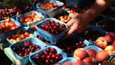 Minneapolis Farmers Market pares back hours for 2024 season