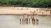 Rare Video Shows Isolated Indigenous Tribe Emerging From Amazon Amid Nearby Logging