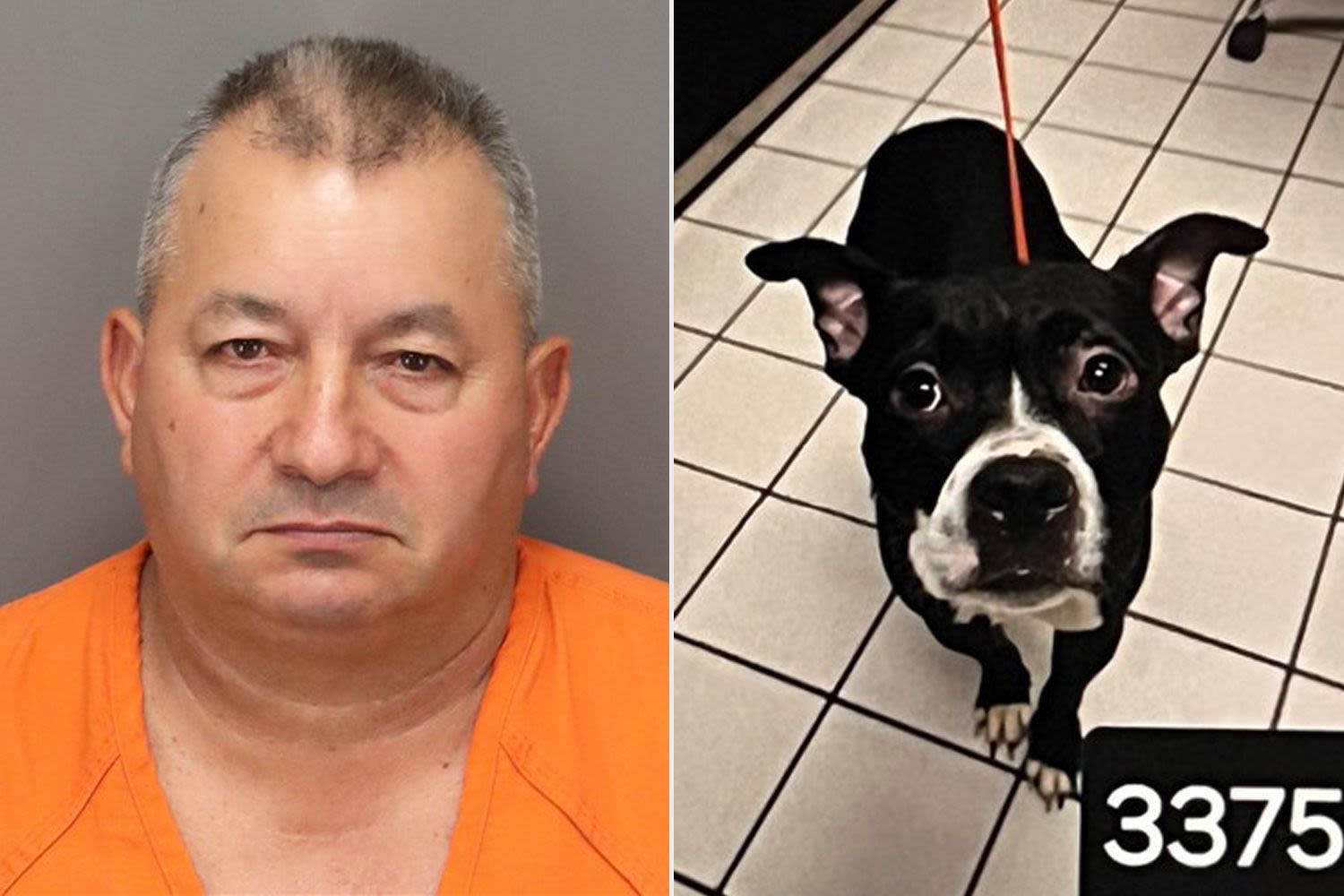 Fla. Man Accused of Adopting Dog from Shelter, Decapitating Animal the Next Day