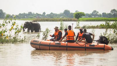 Behind Assam’s annual flood woes, a history of unintended consequences