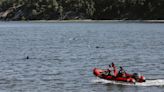 Animal rescuers try to keep dozens of dolphins away from Cape Cod shallows after mass stranding