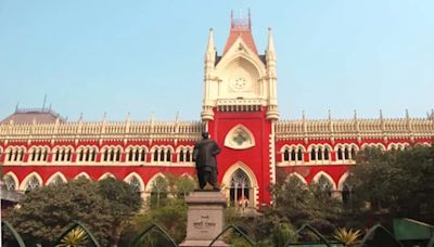 Calcutta HC stays further probe in 47 FIRs against BJP workers in Nandigram