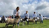 Wayland Show returns with fresh ideas for historic countryside event