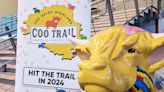 Locations of all 30 Hairy Highland Coos as trail launched across Perth and Kinross