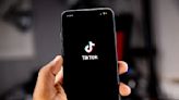 TikTok stops working in Kyrgyzstan after ban proposals