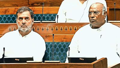 Rahul meets Speaker, says could’ve avoided Emergency reference