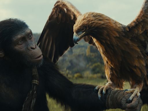 ... Not Hitting The Heights Of The Caesar Trilogy, The New Apes Movie Is Still An Emotional Spectacle