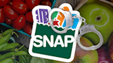 Woman charged with SNAP benefits food stamp fraud of more than $15,000