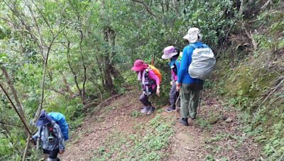 24山友登千階嶺6人遭蜂螫傷 有3人一度無法行走最後平安下山