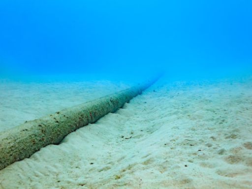 美中「海底冷戰」 國際通訊電纜將繞開中國