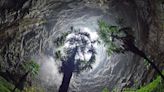 Giant Sinkhole in China Reveals Massive Ancient Forest