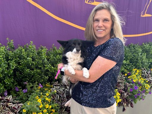 Westminster dog show has its first mixed-breed agility winner, and her name is Nimble