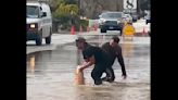 Watch: Huge carp wrestled from flooded California street