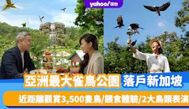 新加坡旅遊｜亞洲最大雀鳥公園！8大鳥禽展區＋企鵝館：近距離觀賞3...