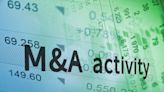 The M&A market experienced a setback in Q2 2024
