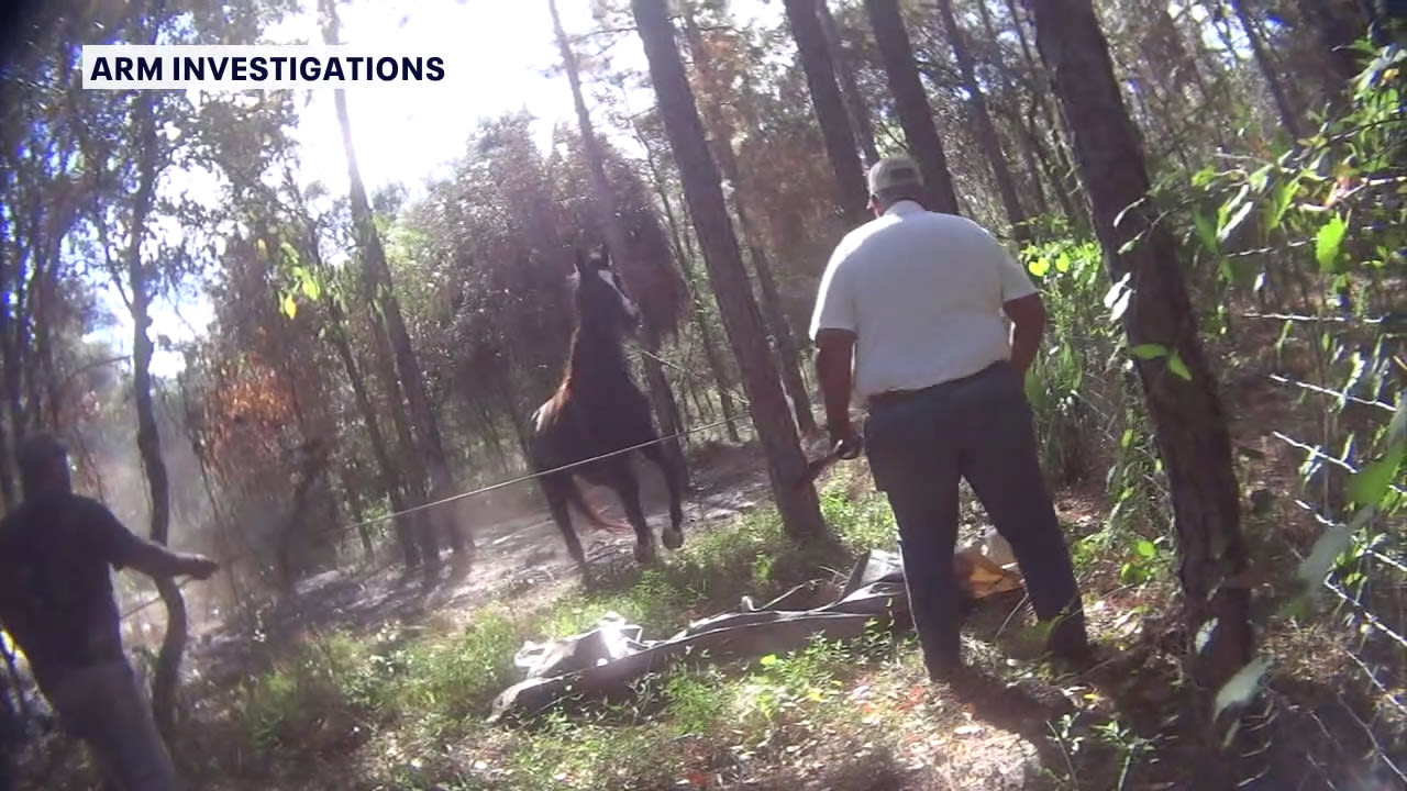 Horse meat trade: Hernando County men accused of killing horse abandon farm, flee with animals