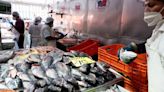 Especies protegidas y sin datos sobre el origen de su pesca se venden en La Nueva Viga