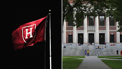 Harvard's Faculty of Arts and Sciences to stop requiring diversity statements for tenure-track positions