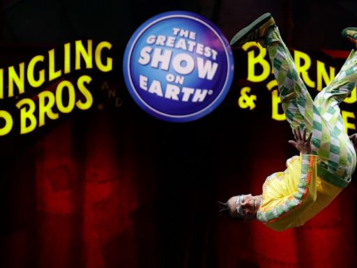 New 'Greatest Show On Earth' gallery at Ringling Museum opens ahead of World Circus Day