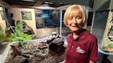 Person who makes a difference: Museum volunteer aims to boost visitor experience