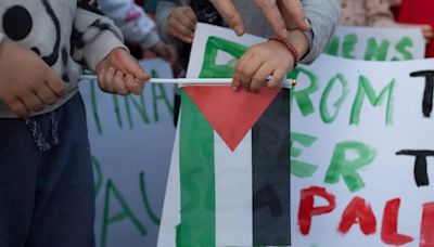 El PP rechaza en el Senado el reconocimiento del Estado de Palestina: "No tiene ninguna utilidad en este momento"