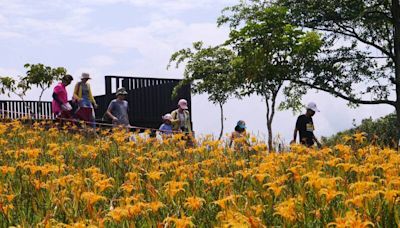 颱風重創花蓮觀光 李孟諺：自由行補助延長、國際團3至5萬元