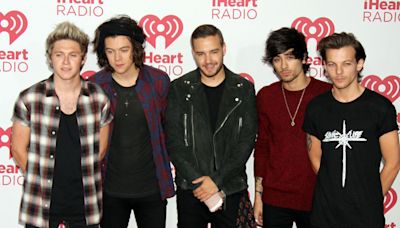 Zayn Malik: One Direction resented each other