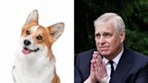 El príncipe Andrew y Sarah Ferguson se quedarán con los corgis de la reina