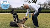 Book Claims Biden Distrusts Some Secret Service, Including Ones Who Reported His Dog's Biting Incident