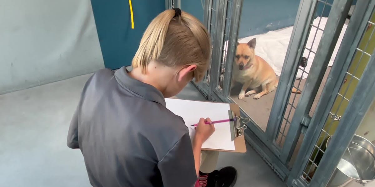 Animal Foundation programs invite kids to help socialize adoptable dogs