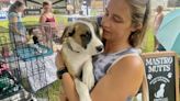 Dog Days of Summer event at Kenosha County farm draws crowd