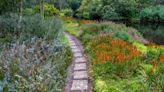 Gardener concerned about how temperature change will affect their plant choices: ‘What if some plants once adapted to our regions no longer thrive?’