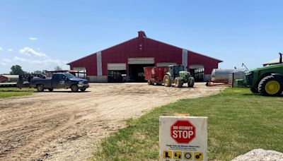 US farmers call for vaccine option to fight bird flu as wildfowl migration begins