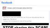 Scam alert: Before you share injured dog post on social media, check the source