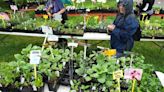 7 events in Lancaster County to check out this weekend, from a garden fair to 'Grease'
