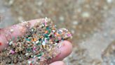 Microplastics are in the heart, lungs, penis, breast milk. Can we keep them out of our bodies?