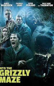 Into the Grizzly Maze