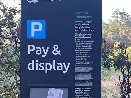 Parking fees introduced at forest used by Hollywood