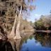 Suwannee River State Park