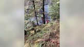 San Jose man falls to death while hiking with wife along Oregon coast