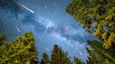 Delta Araquiid meteor shower 2024: How and when to see it from the UK